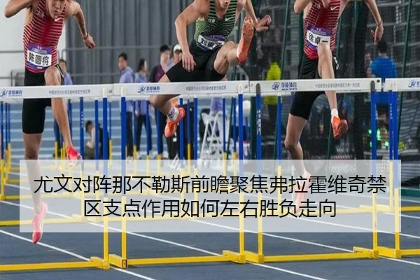 尤文对阵那不勒斯前瞻聚焦弗拉霍维奇禁区支点作用如何左右胜负走向